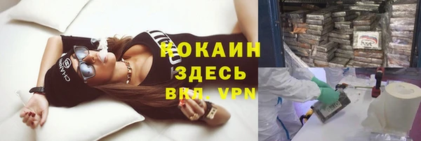 стафф Богородск