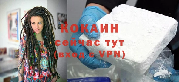 дживик Осинники