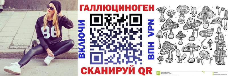 Псилоцибиновые грибы Psilocybine cubensis Новоульяновск